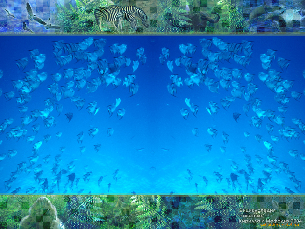животные, рыбы