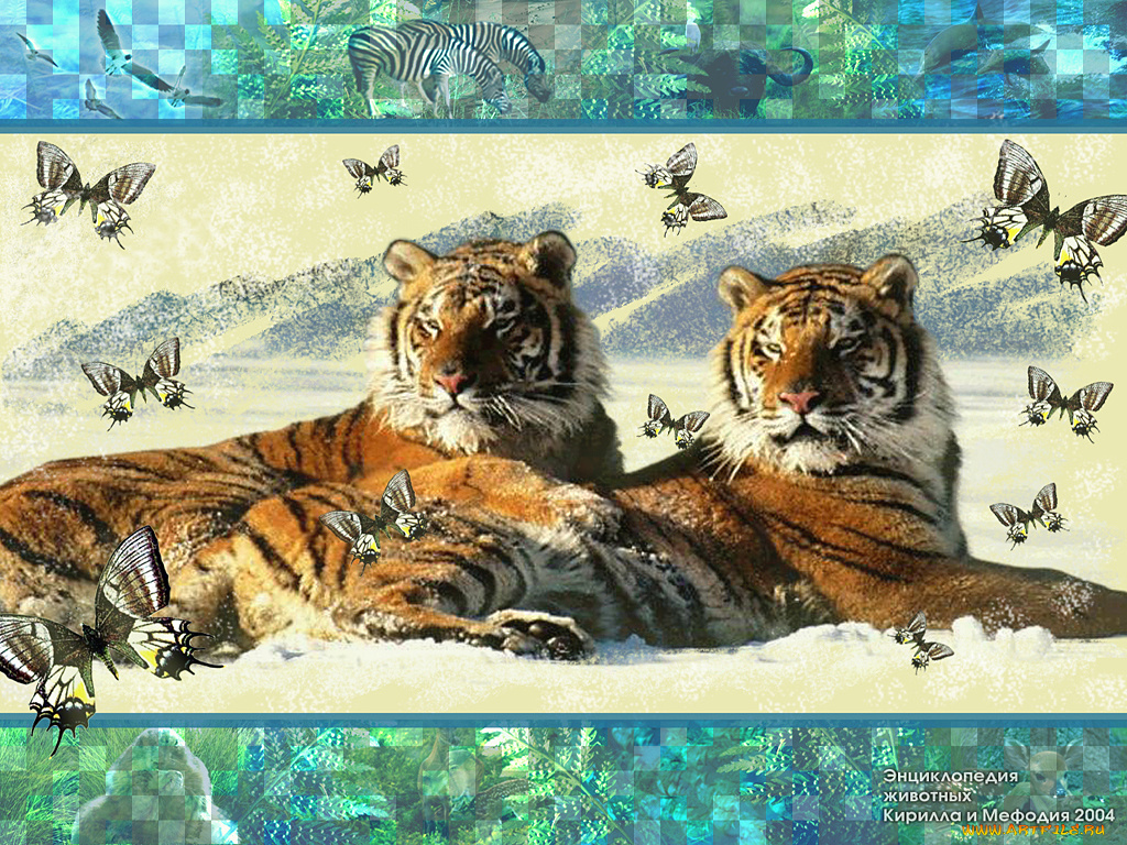 животные, тигры