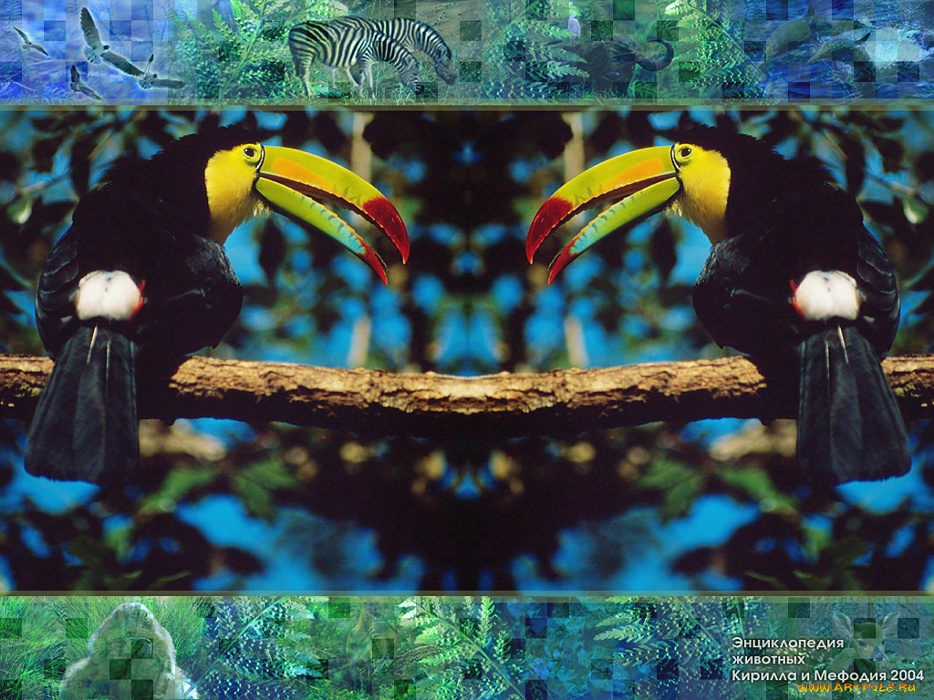 животные, туканы