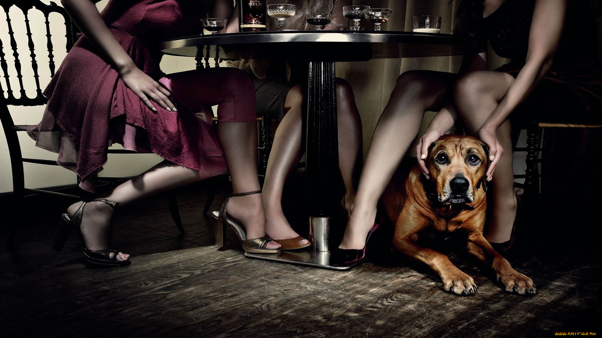 3д, графика, animals, животные