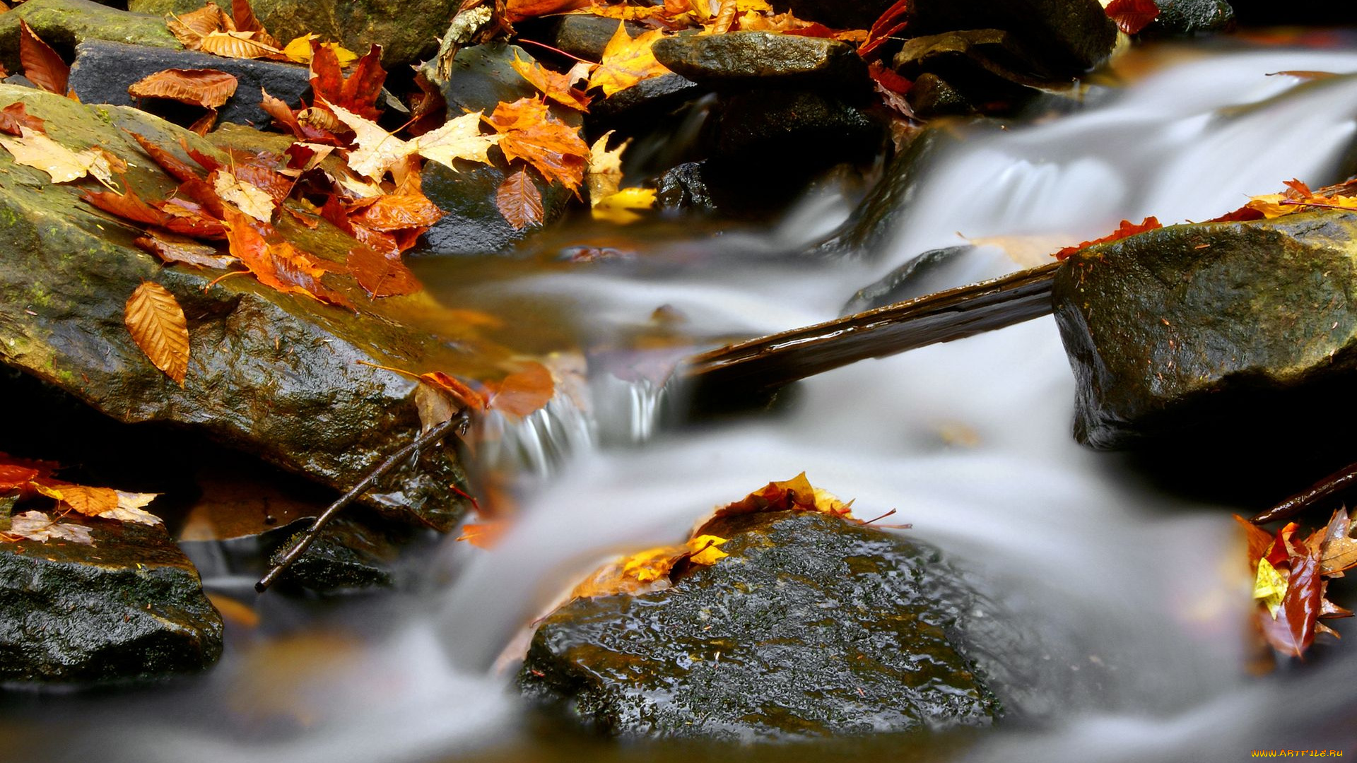 природа, реки, озера