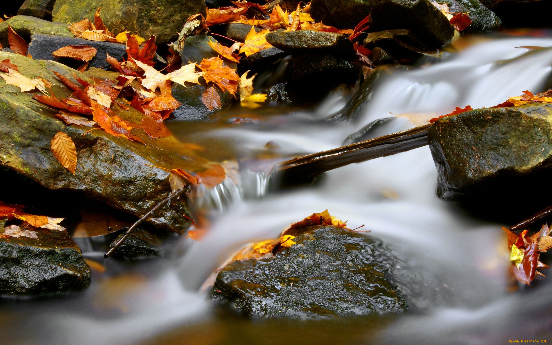 природа, реки, озера