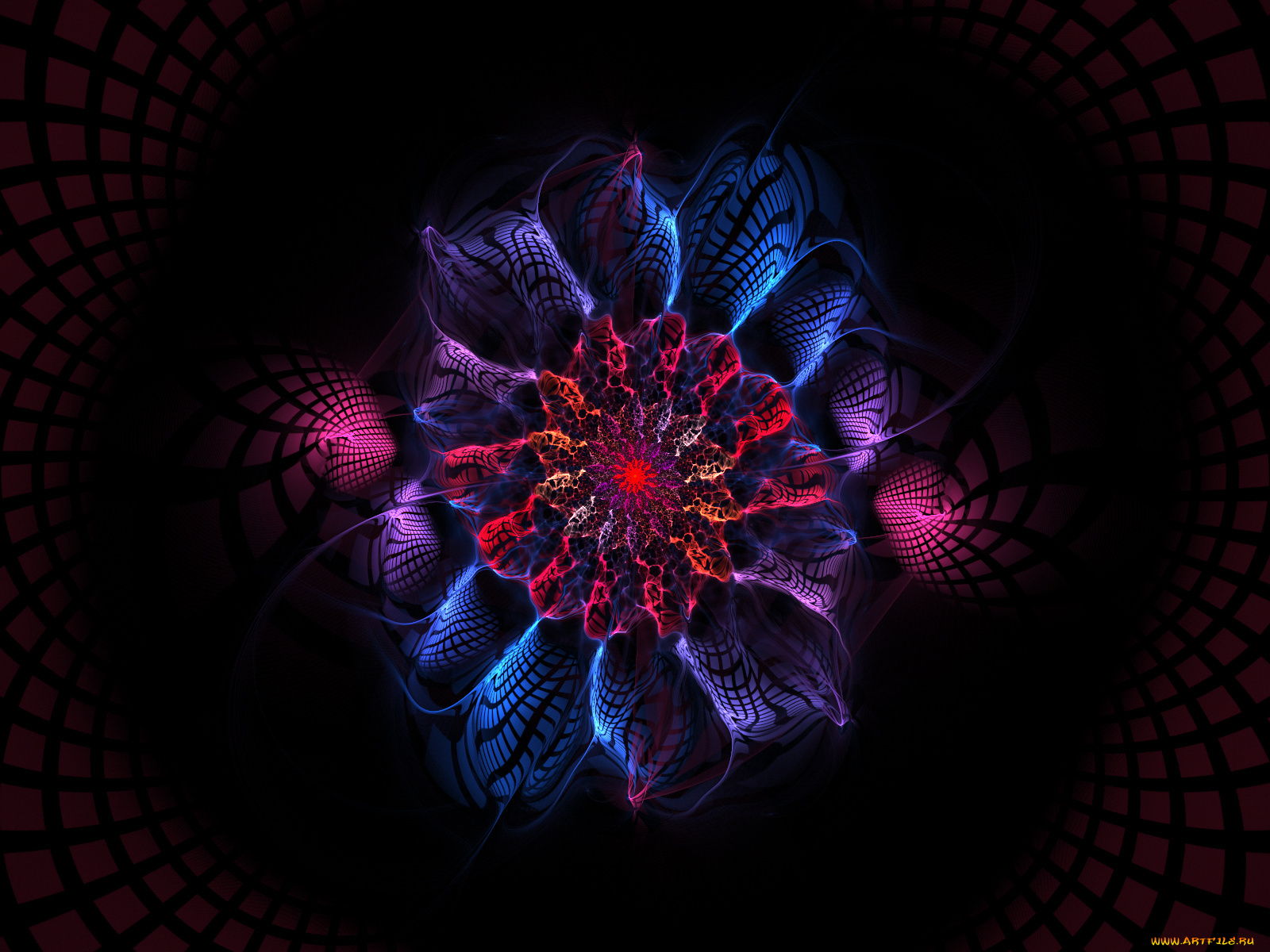 3д, графика, fractal, фракталы