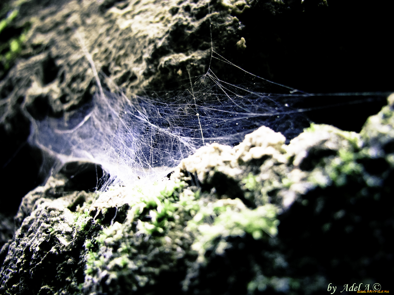 природа, макро, иные, миры