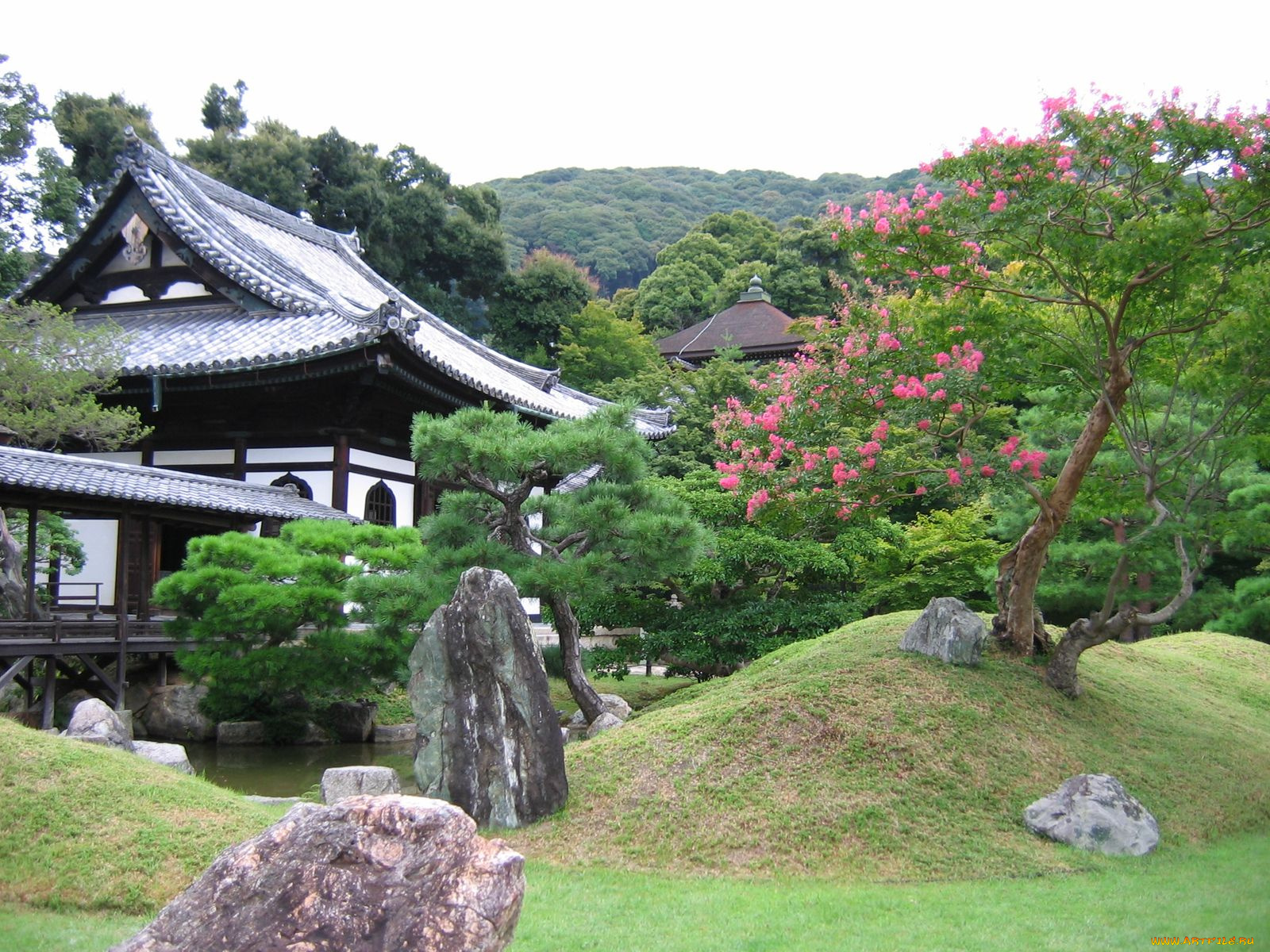 природа, парк, Япония