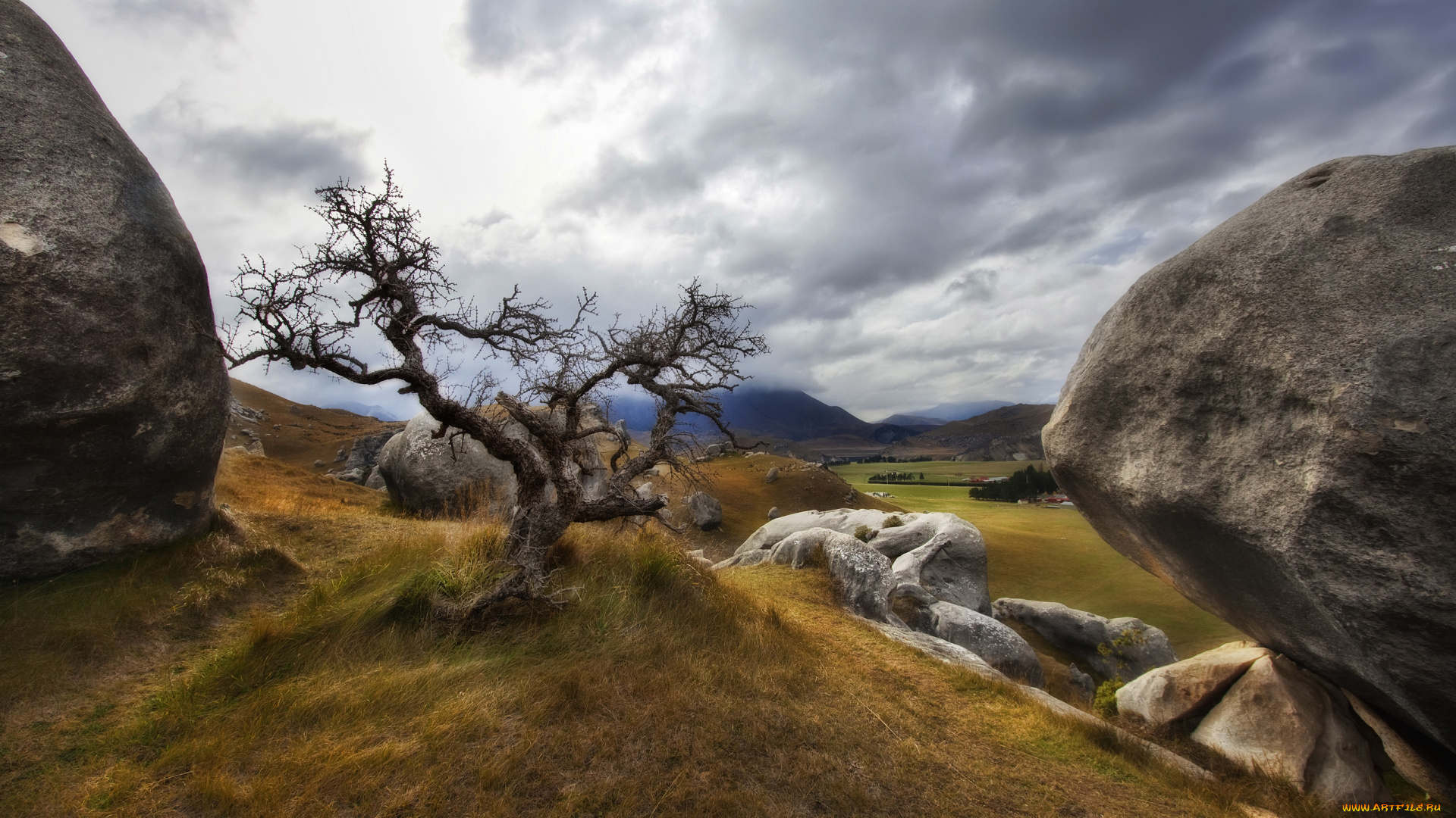 природа, деревья, холмы, валуны, трава, дерево