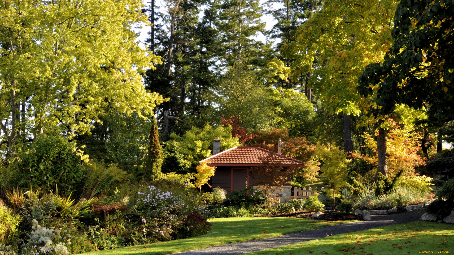 victoria, канада, природа, парк, деревья, дорожки