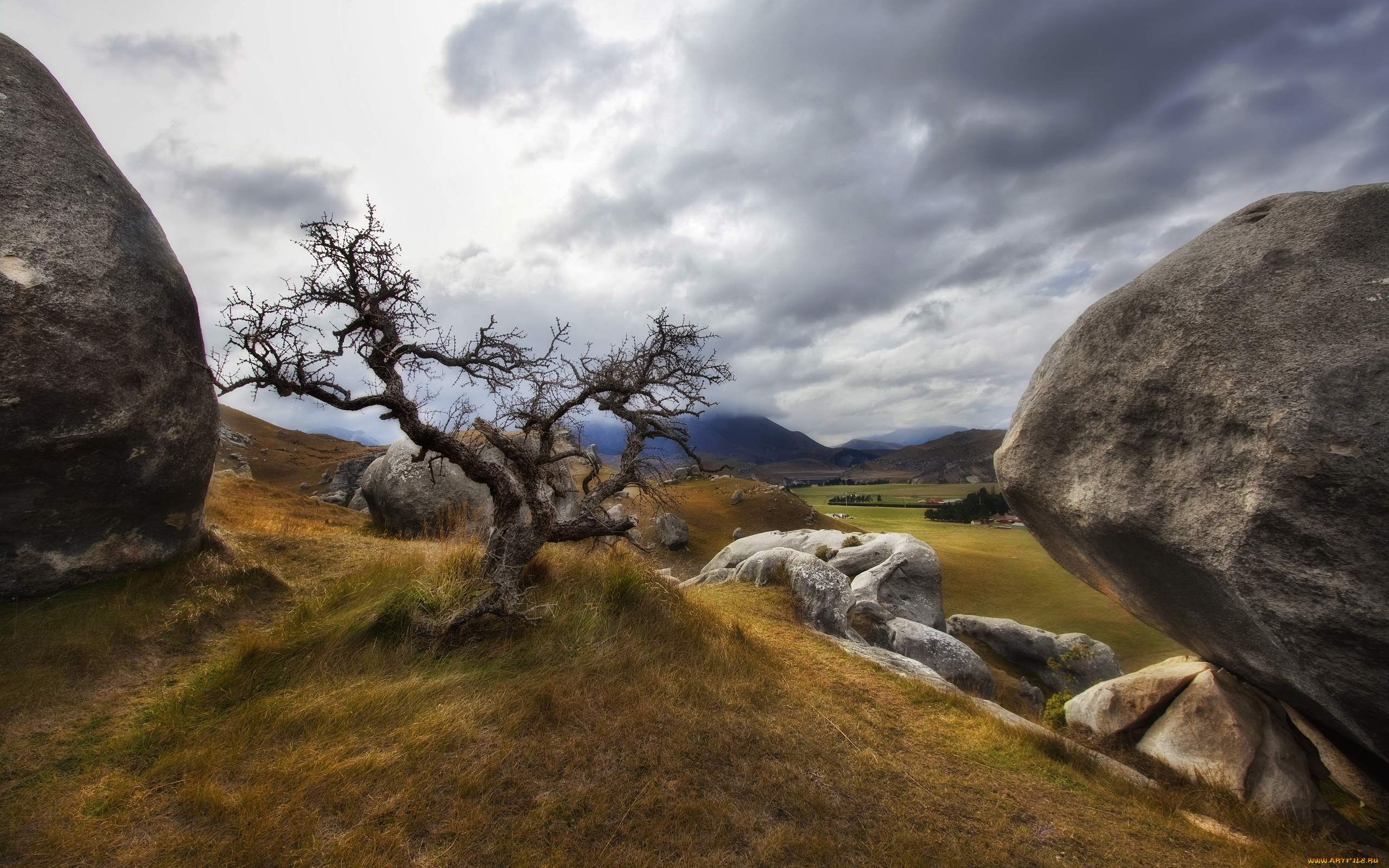 природа, деревья, холмы, валуны, трава, дерево