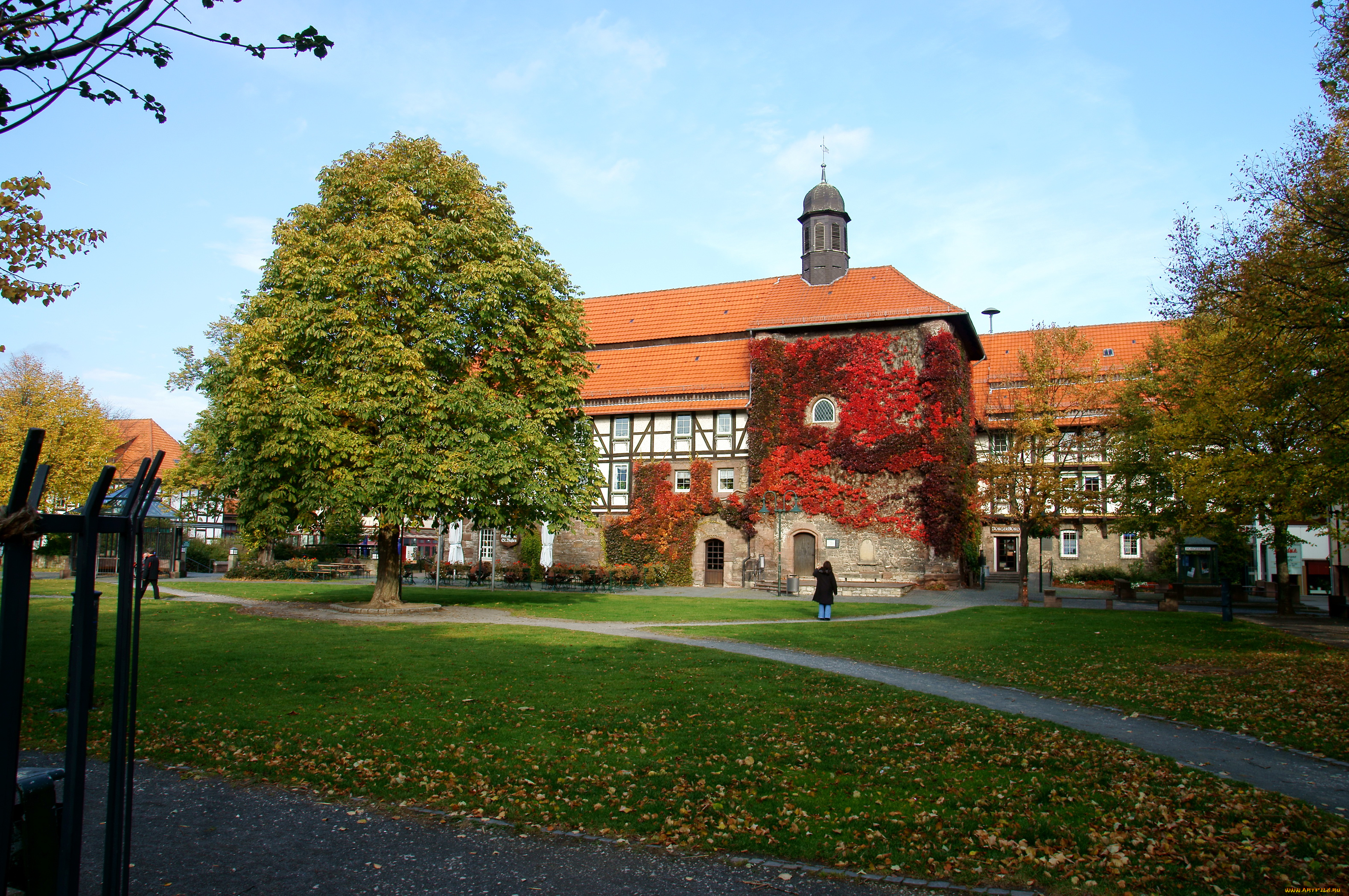 victoria, канада, города, улицы, площади, набережные, деревья, домик, парк