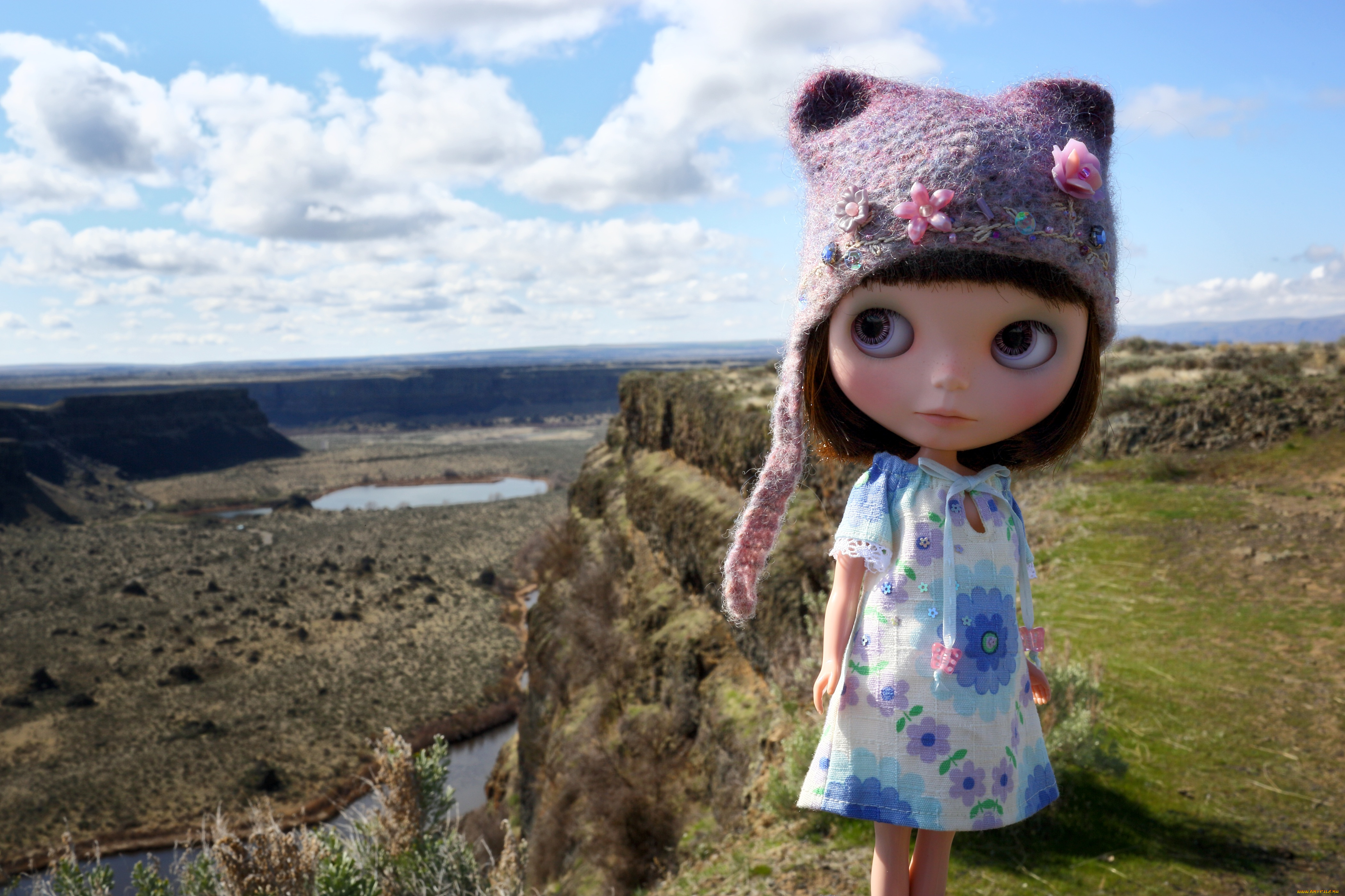 разное, игрушки, кукла, шапочка