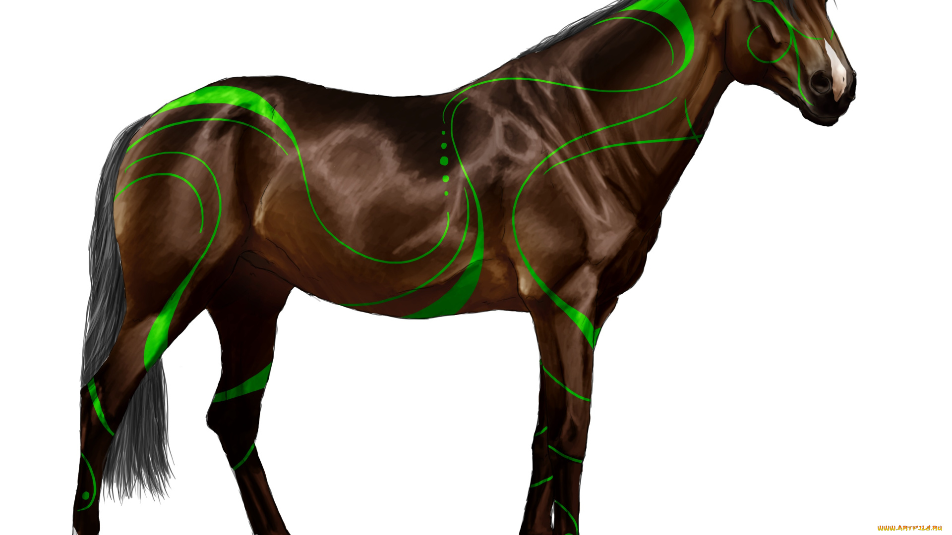 рисованные, животные, сказочные, мифические, лошадь