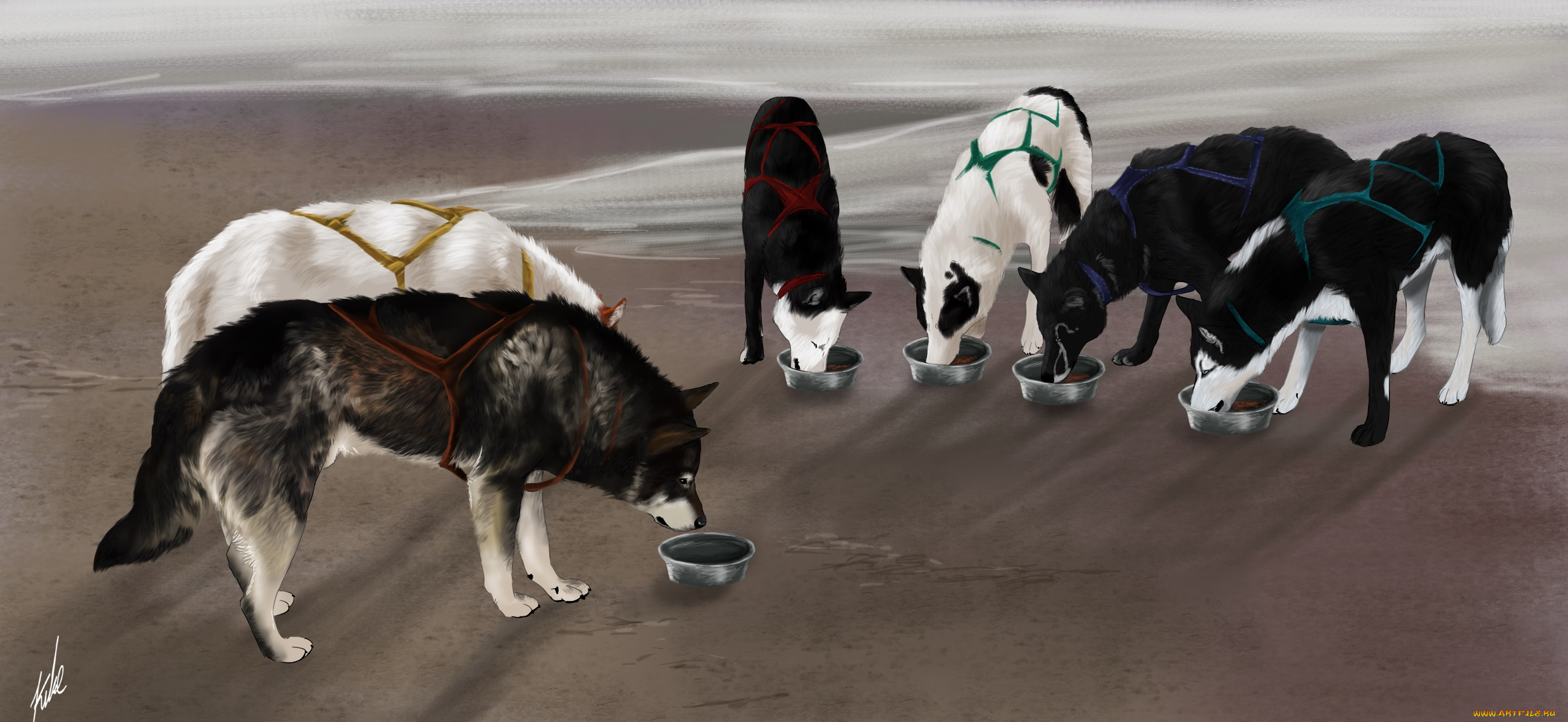 рисованные, животные, собаки