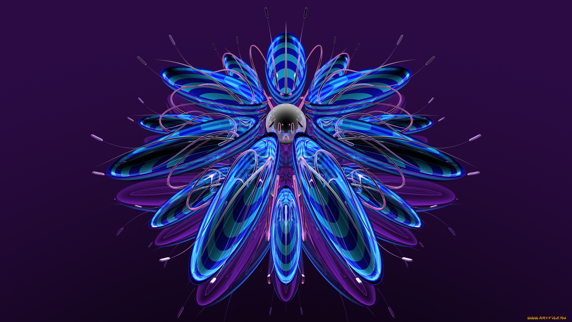 3д, графика, цветы, , flowers, лепестки