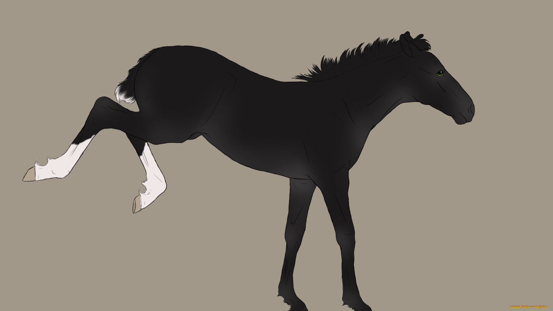 рисованные, животные, , лошади, лошадка