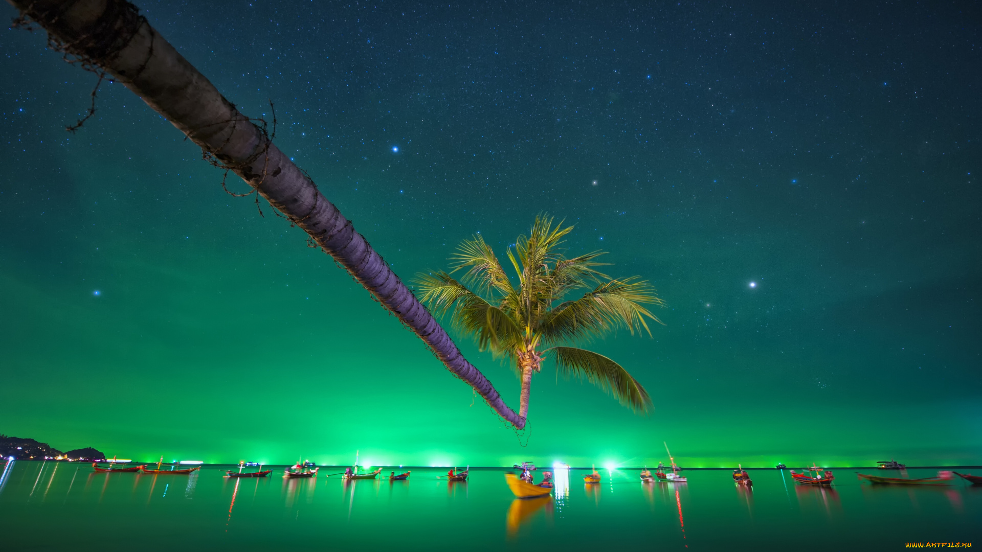 tao, , thailand, корабли, лодки, , шлюпки, тао, thailand, пальма, звёздное, небо, таиланд, сиамский, залив