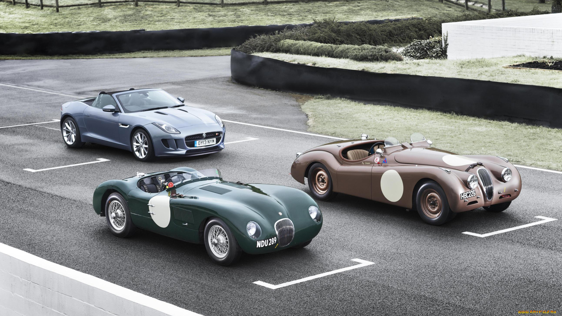 автомобили, jaguar