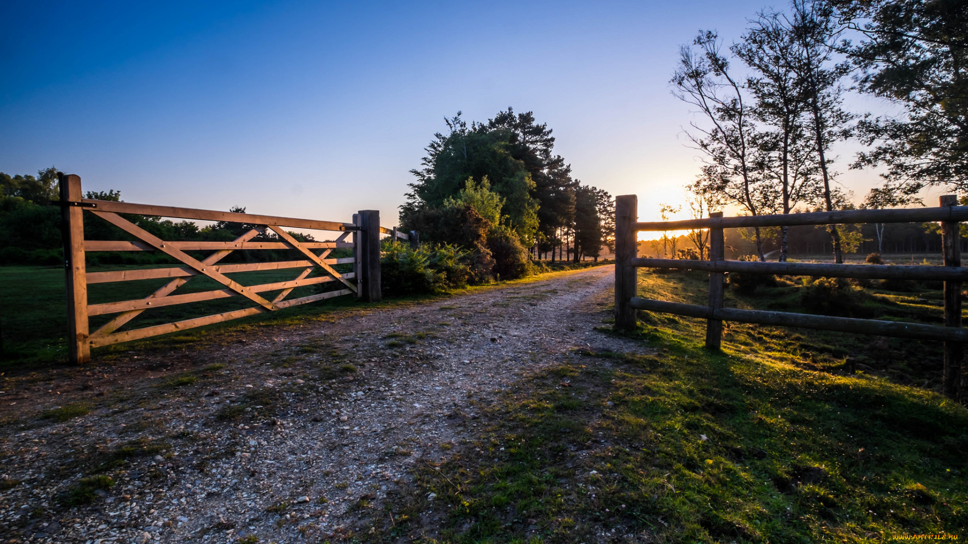 природа, дороги, поле, изгородь, тракт