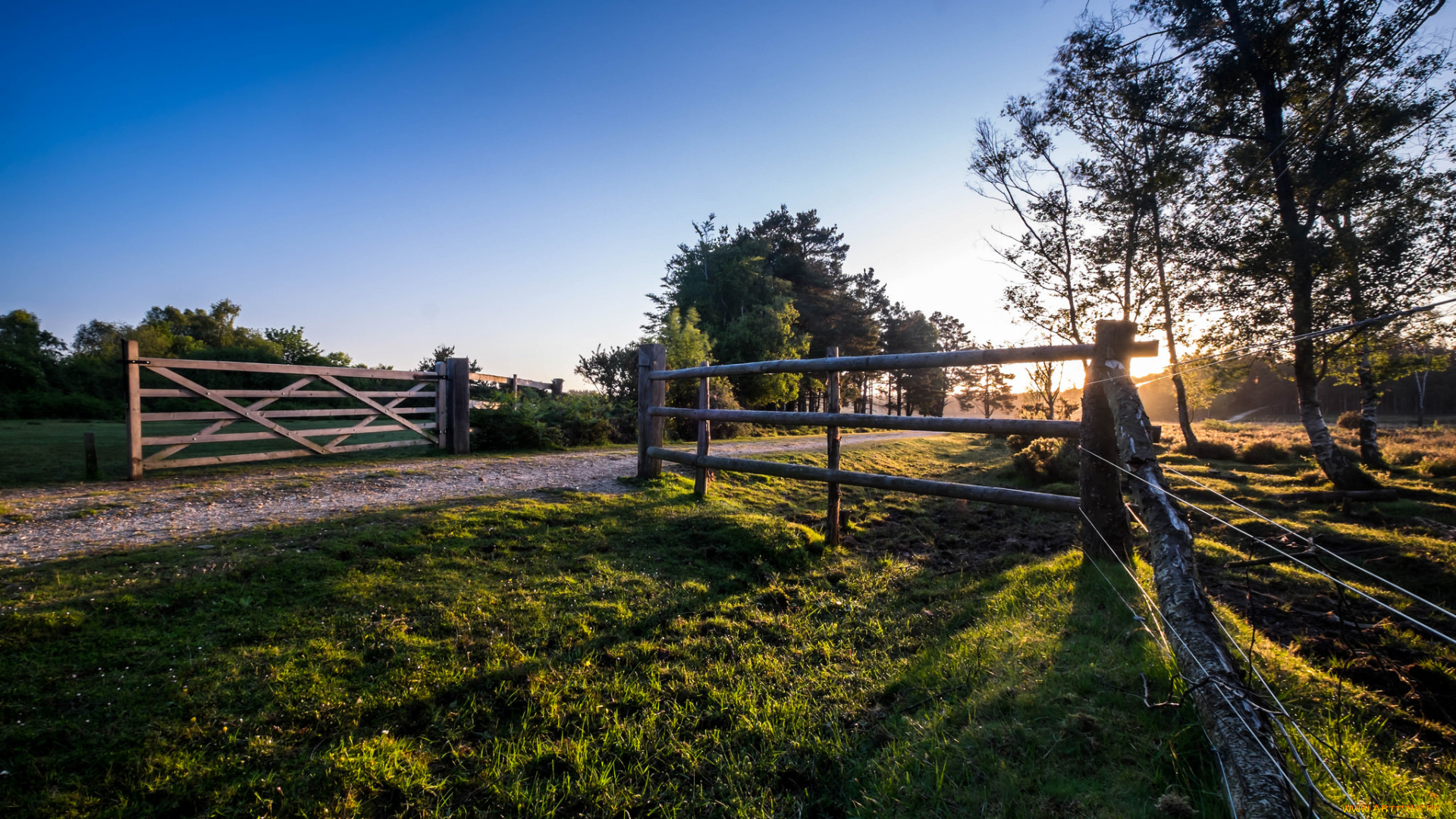 природа, дороги, поле, изгородь, тракт