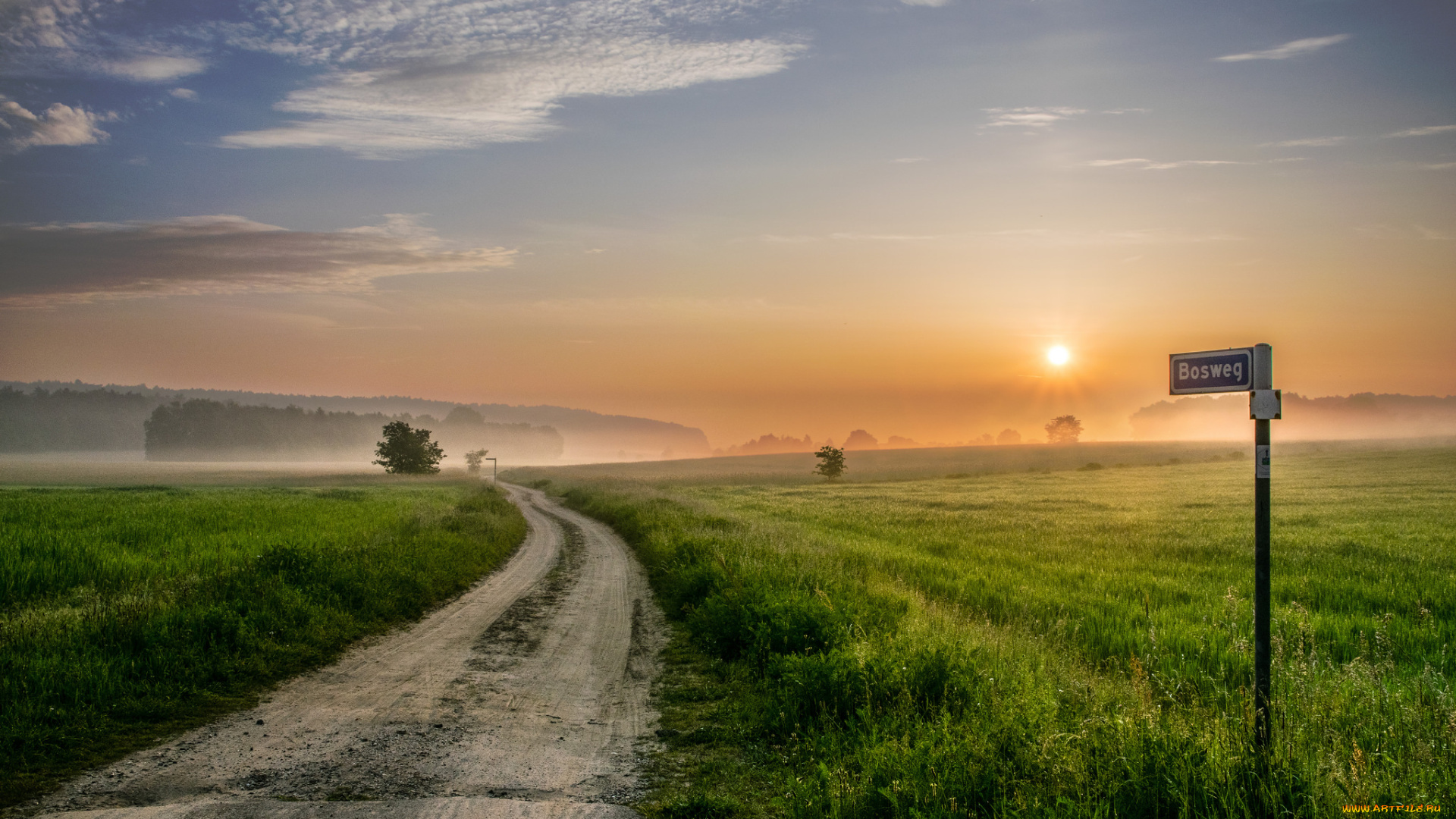 природа, дороги, поле, туман, рассвет, колея