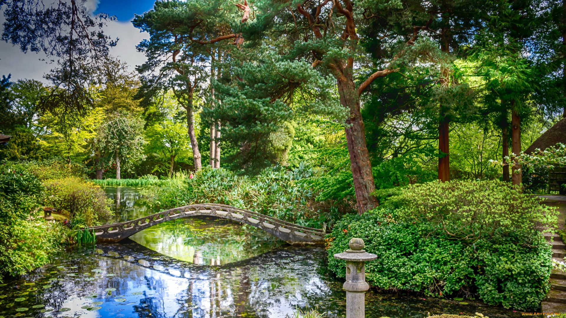 природа, парк, кусты, деревья, мостик, англия, пруд, tatton, hall, зелень