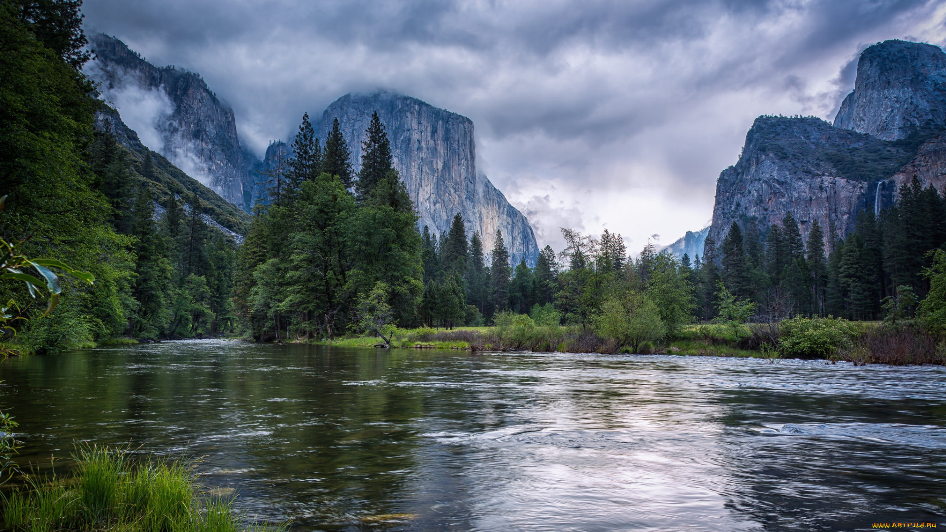 природа, реки, озера, горы, лес, река