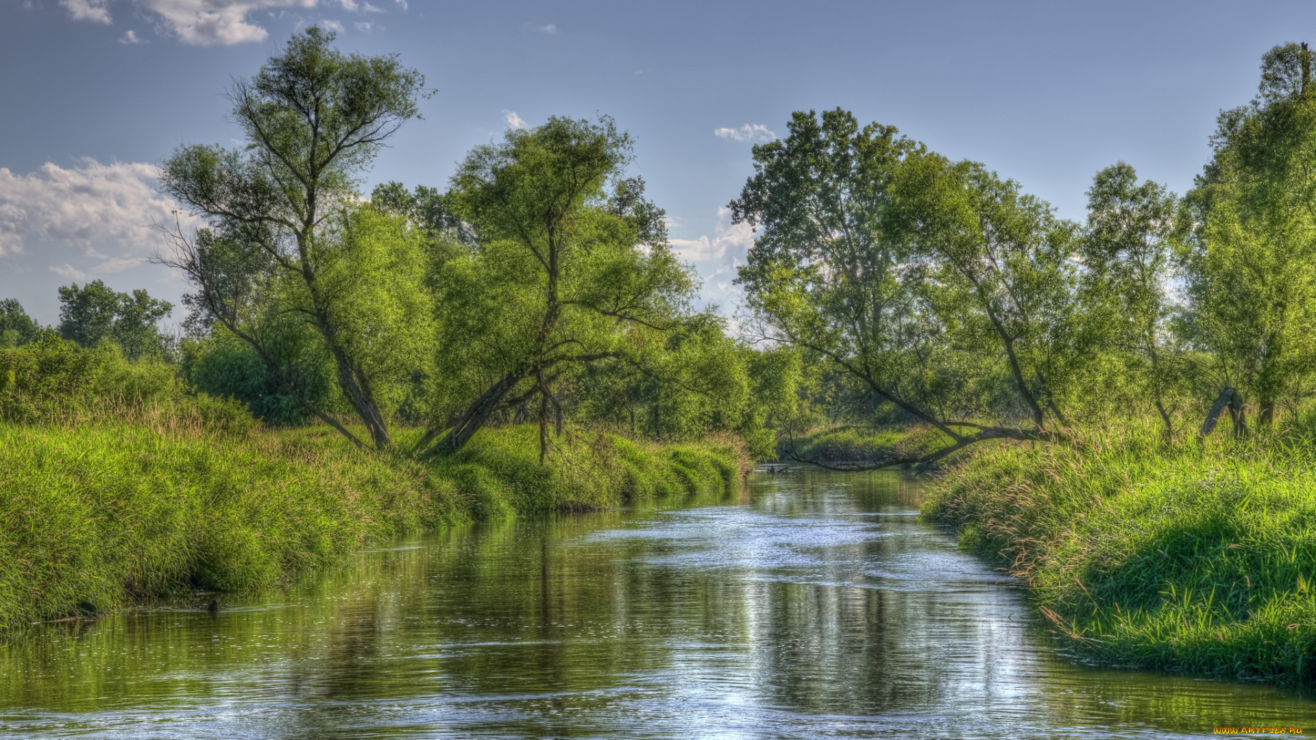 природа, реки, озера, лес, река