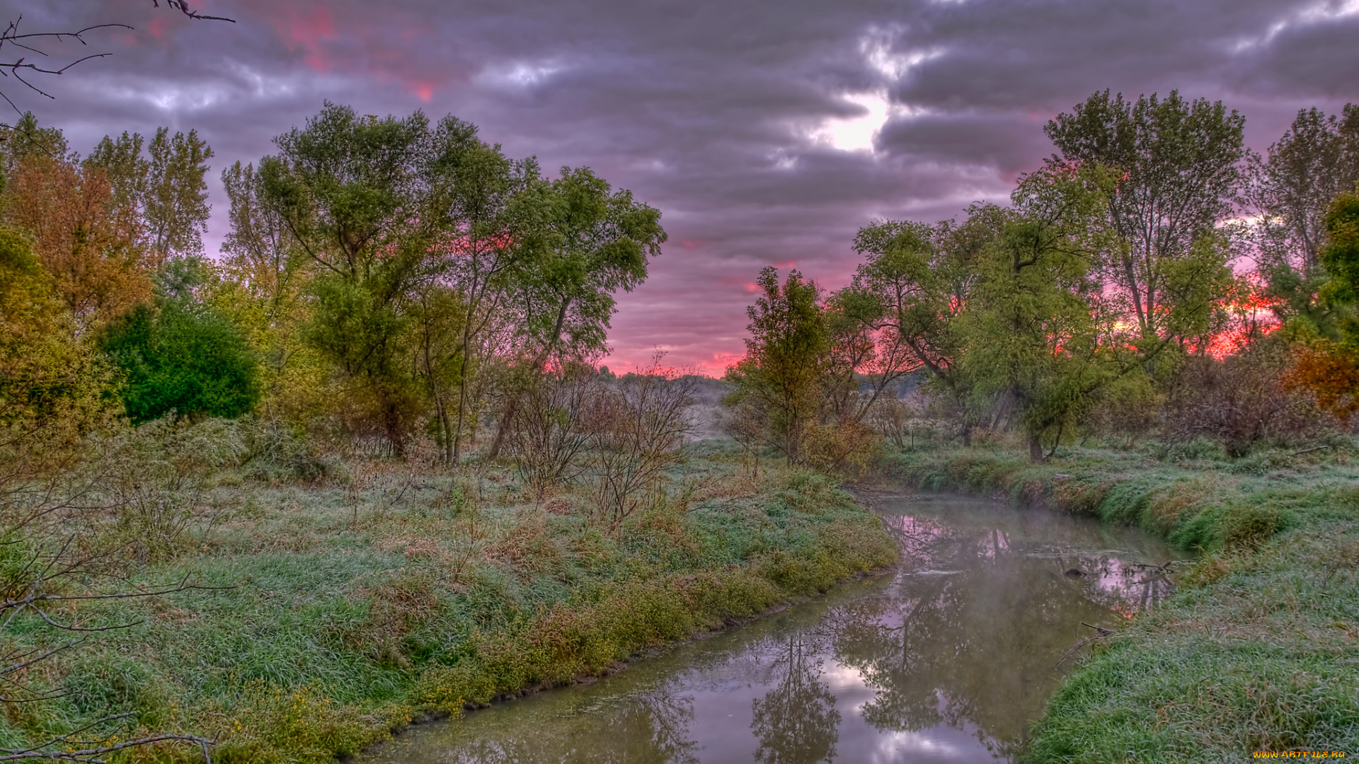 природа, реки, озера, лес, река