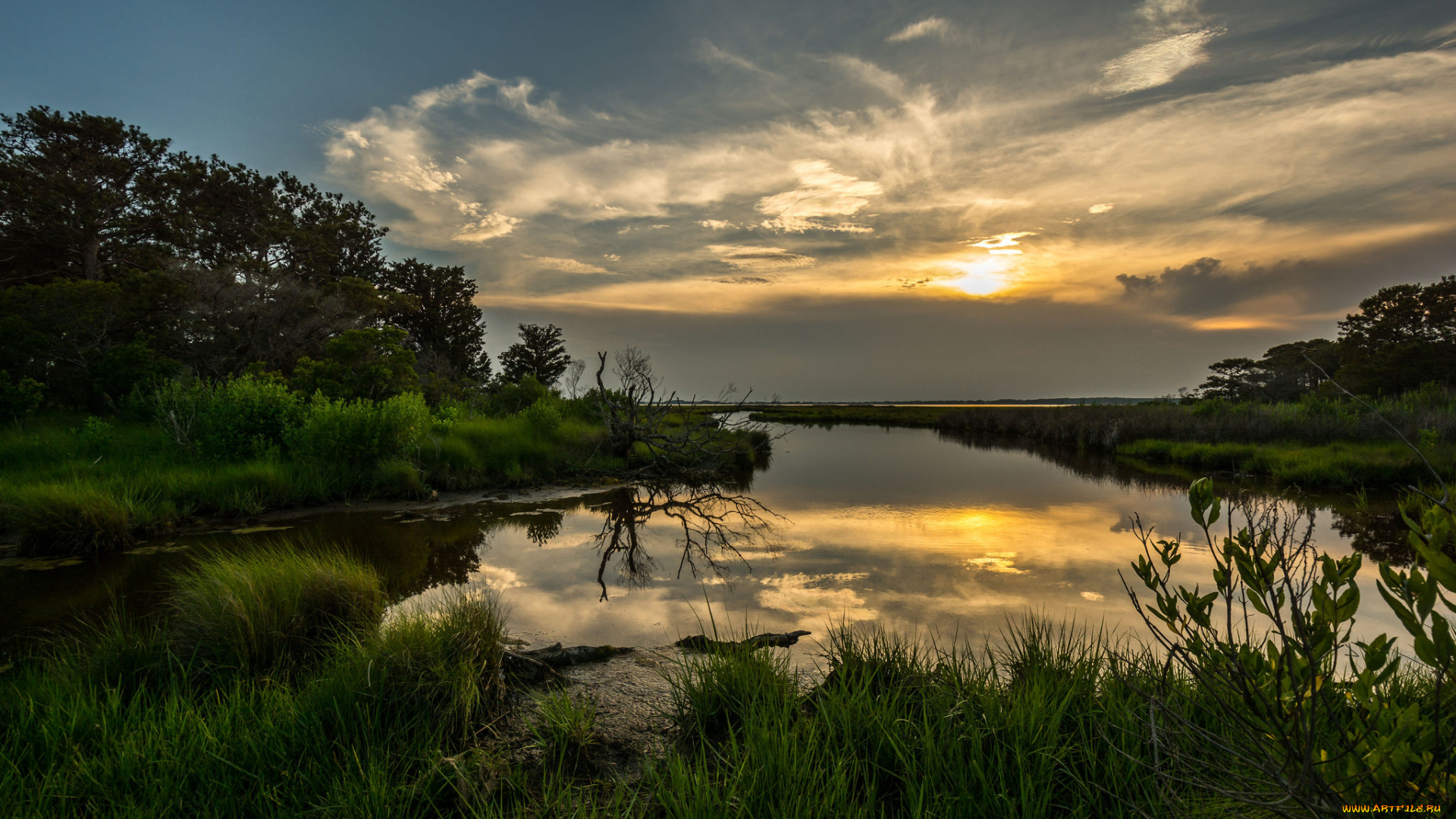 природа, реки, озера, лес, река