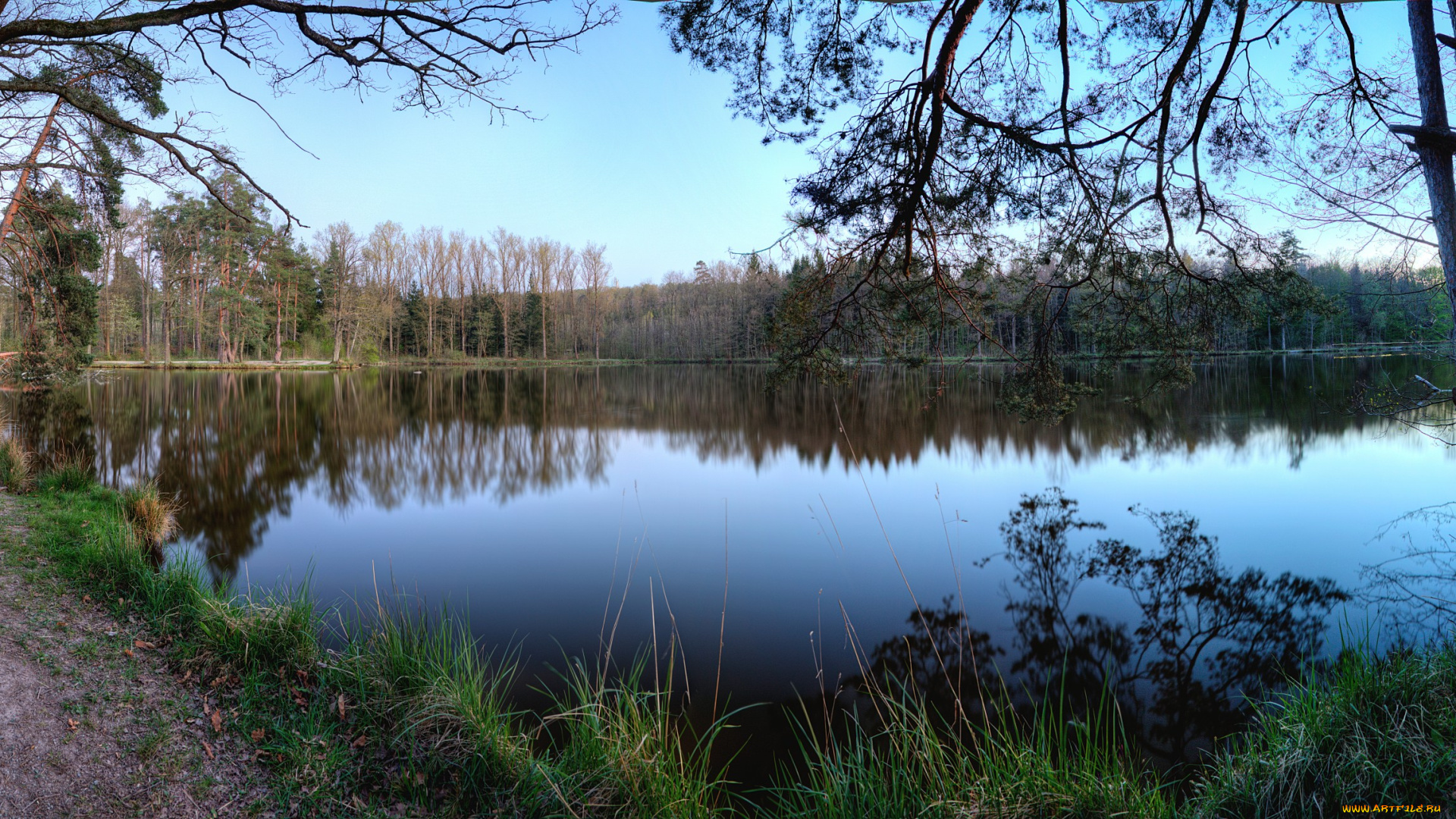 природа, реки, озера, река, лес