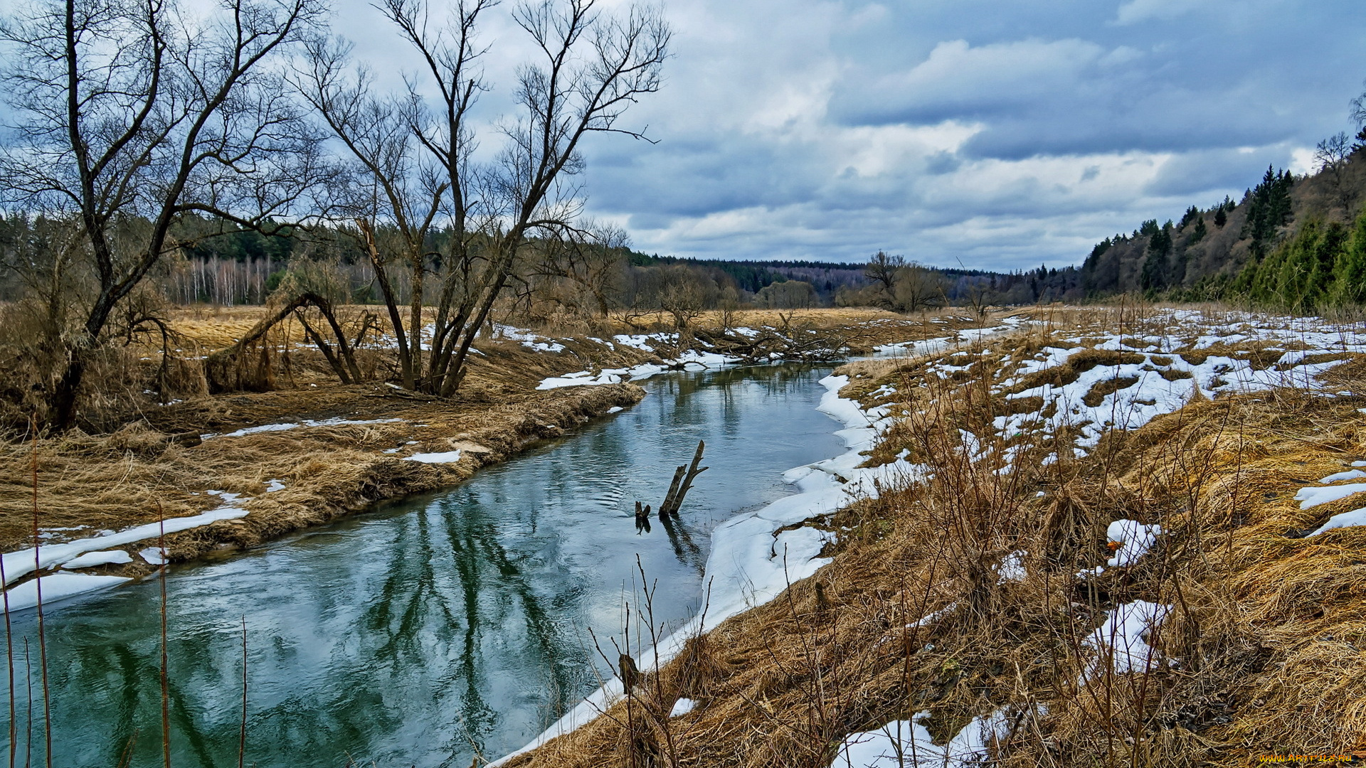 природа, реки, озера, река, весна