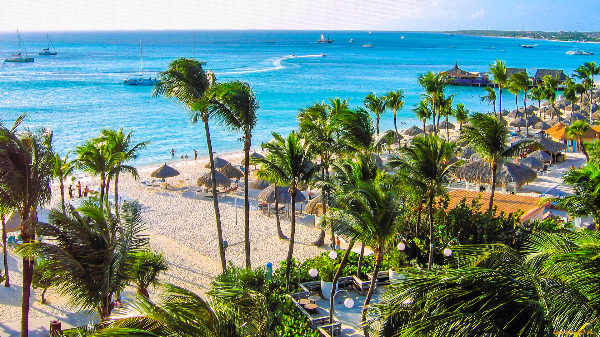 природа, тропики, океан, пляж, пальмы