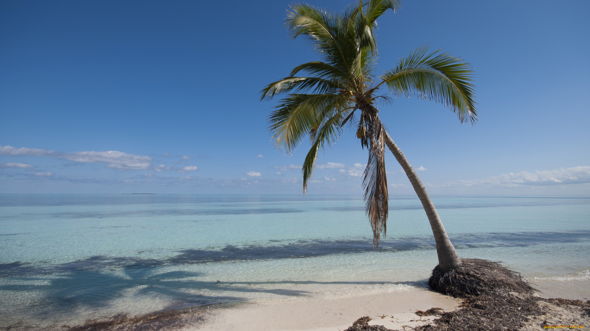 природа, тропики, sand, beach, sea, tropical, paradise, shore, summer, пальмы, песок, берег, пляж, море, palms