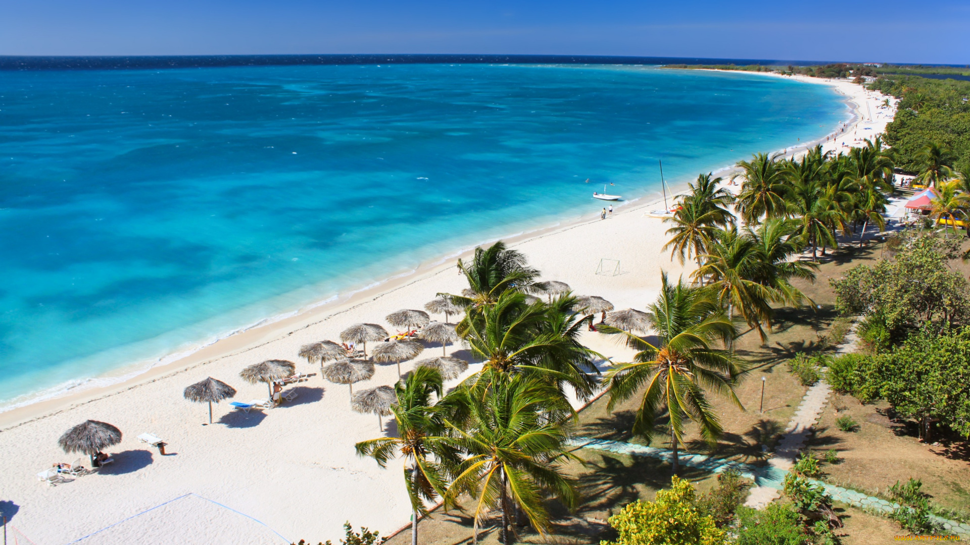 природа, тропики, sand, tropical, пальмы, summer, paradise, пляж, море, palms, песок, берег, shore, sea, beach