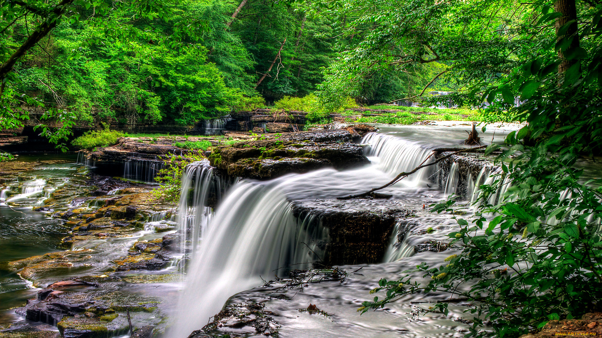 природа, водопады, лес, деревья, река, пороги, поток, камни, скалы