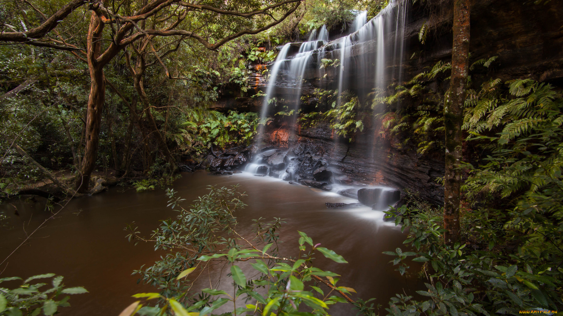 природа, водопады, лес, река, водопад
