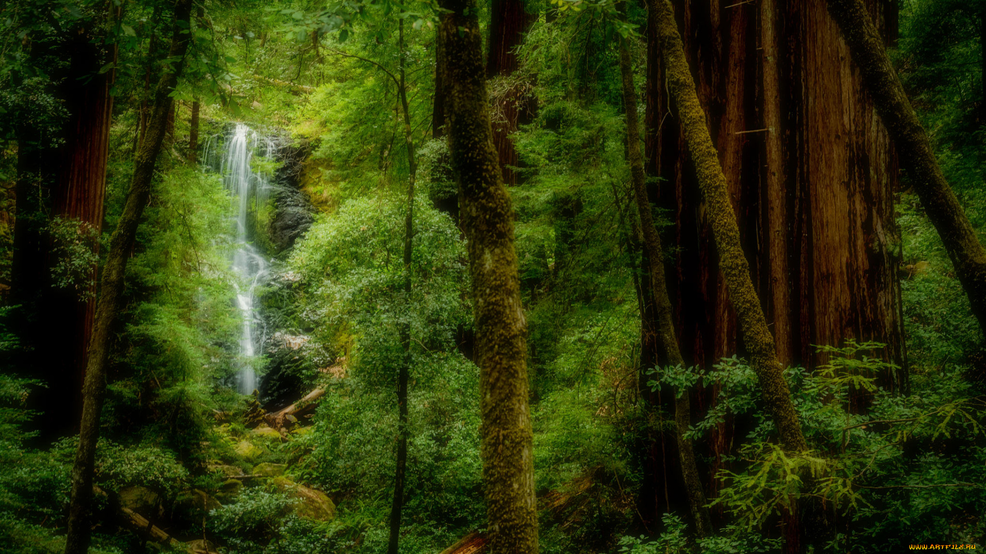 природа, водопады, река, лес, водопад
