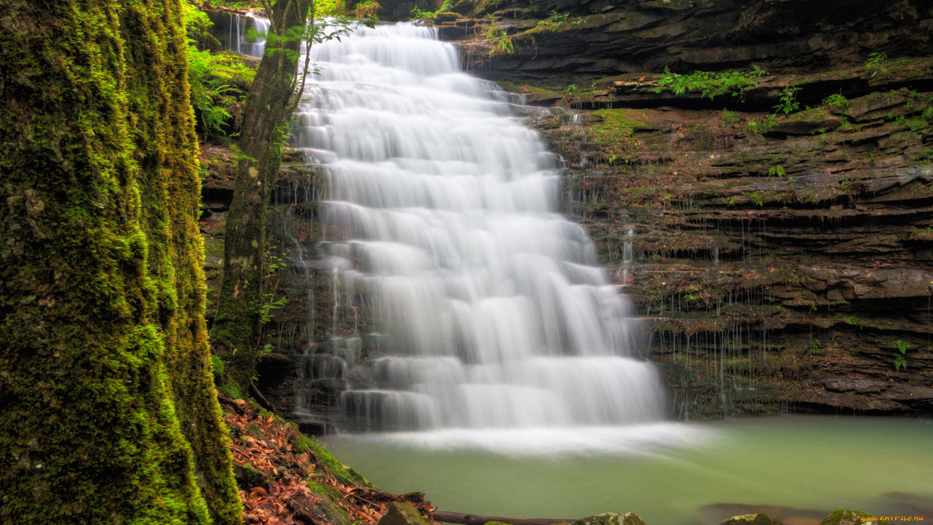 природа, водопады, водопад, река, лес
