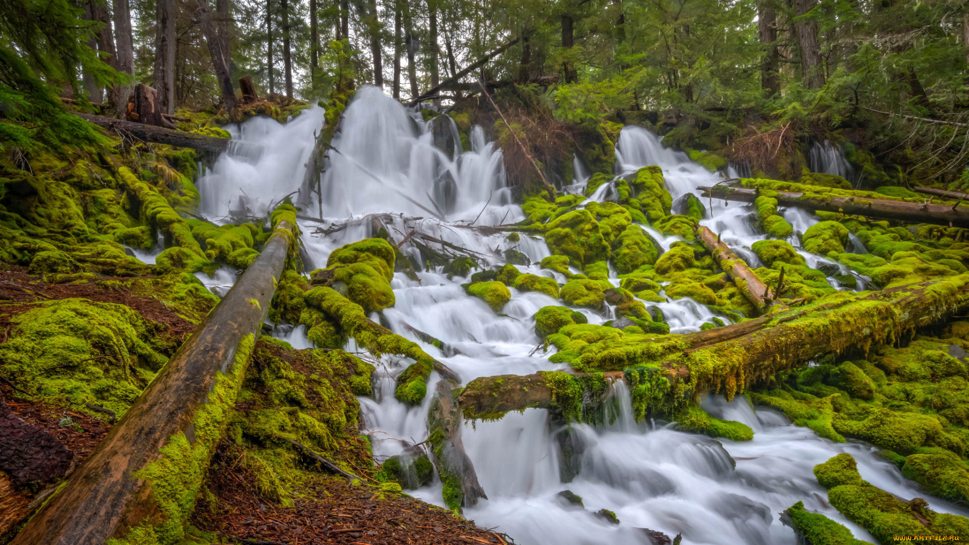 природа, водопады, водопад, река, лес
