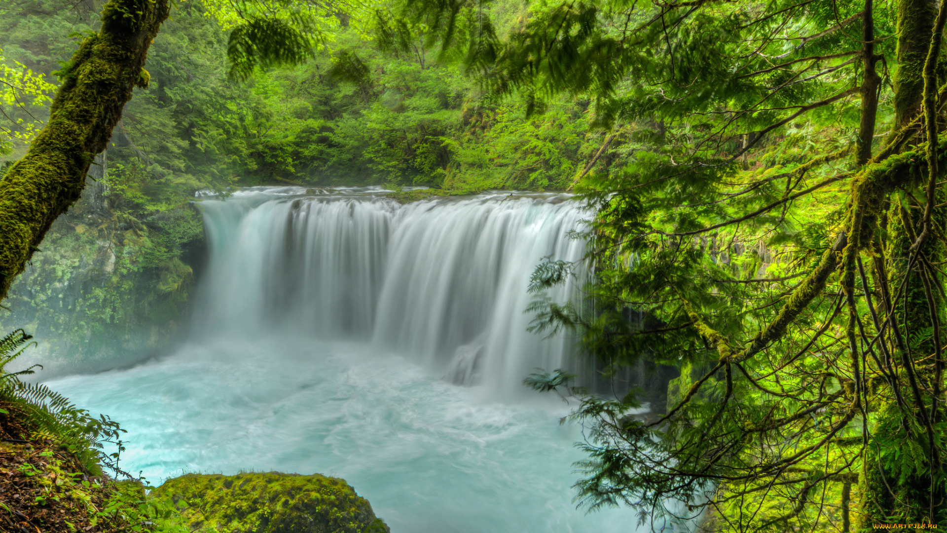 природа, водопады, водопад, река, лес