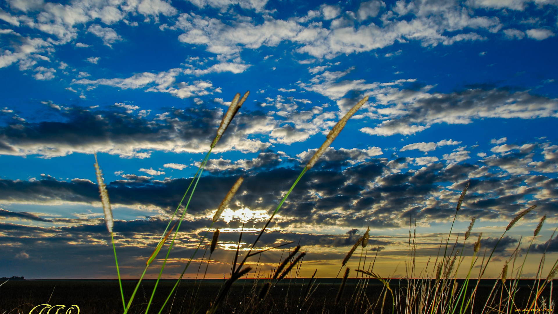 природа, восходы, закаты, камыш, облака, небо