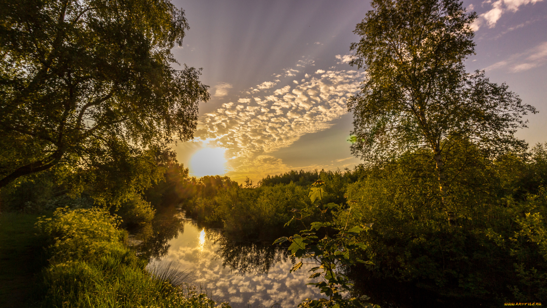 природа, восходы, закаты, лес, река, солнце