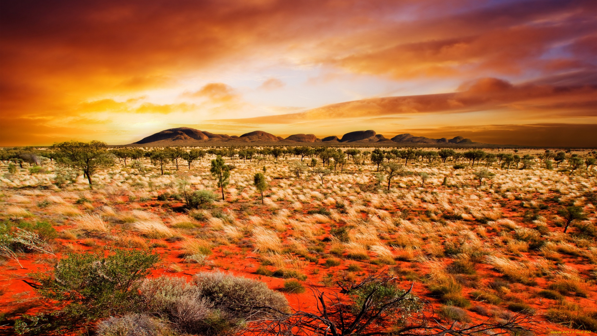 природа, восходы, закаты, поле, небо, закат, sky, nature, sunset, landscape