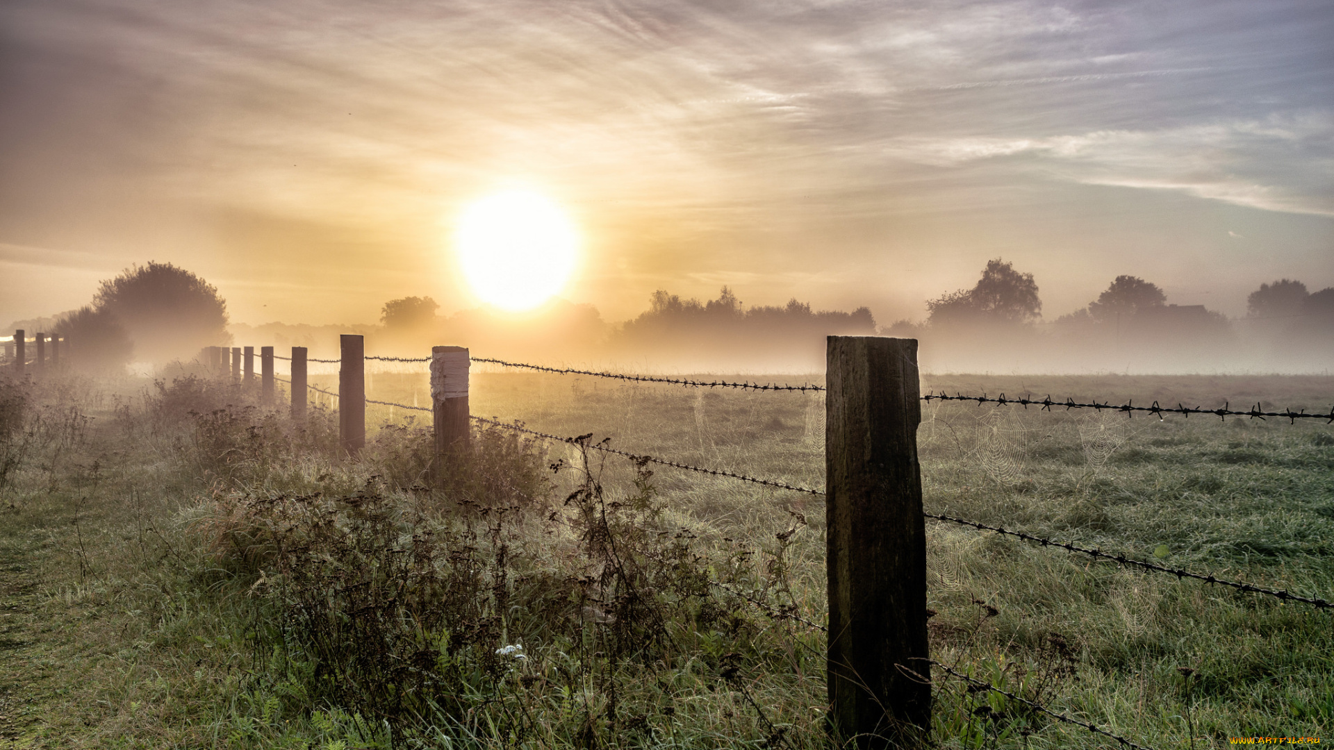природа, восходы, закаты, поле, туман, рассвет
