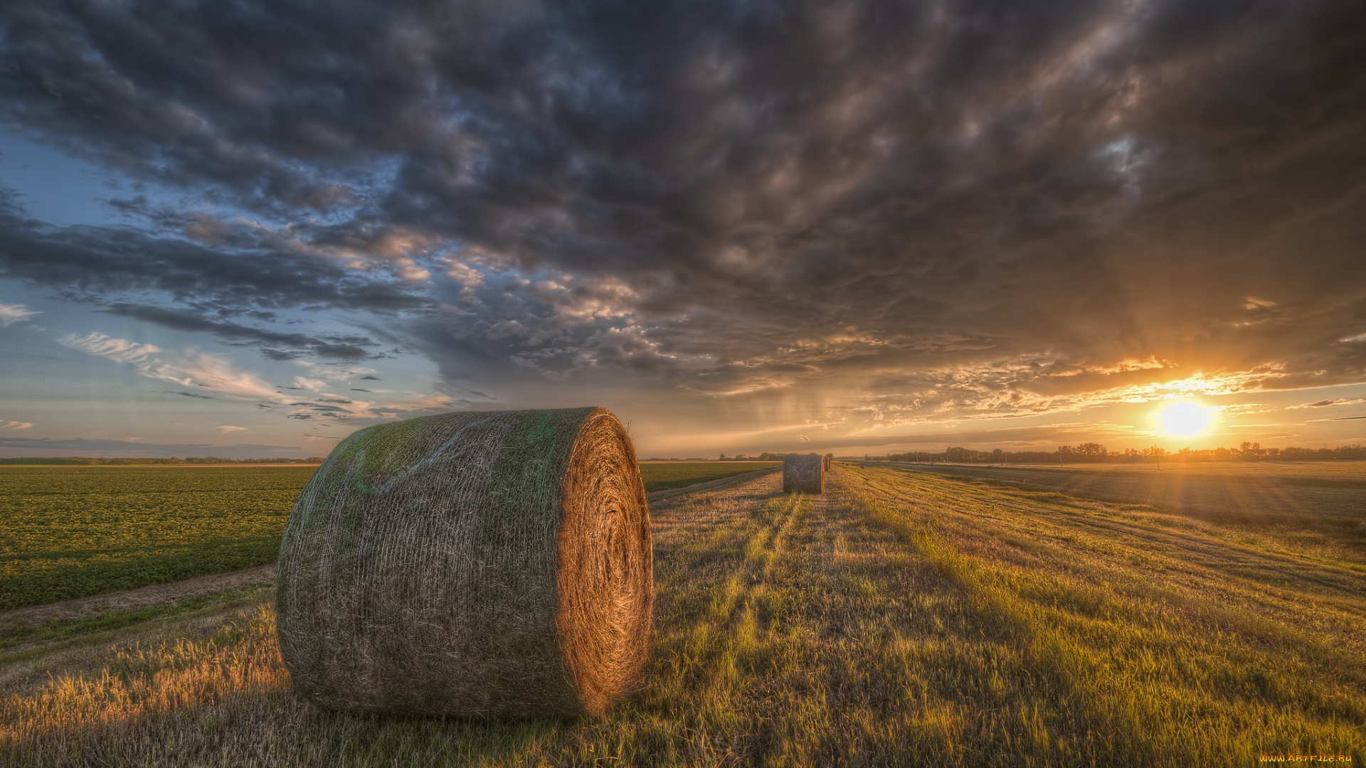 природа, восходы, закаты, рассвет, жнивье