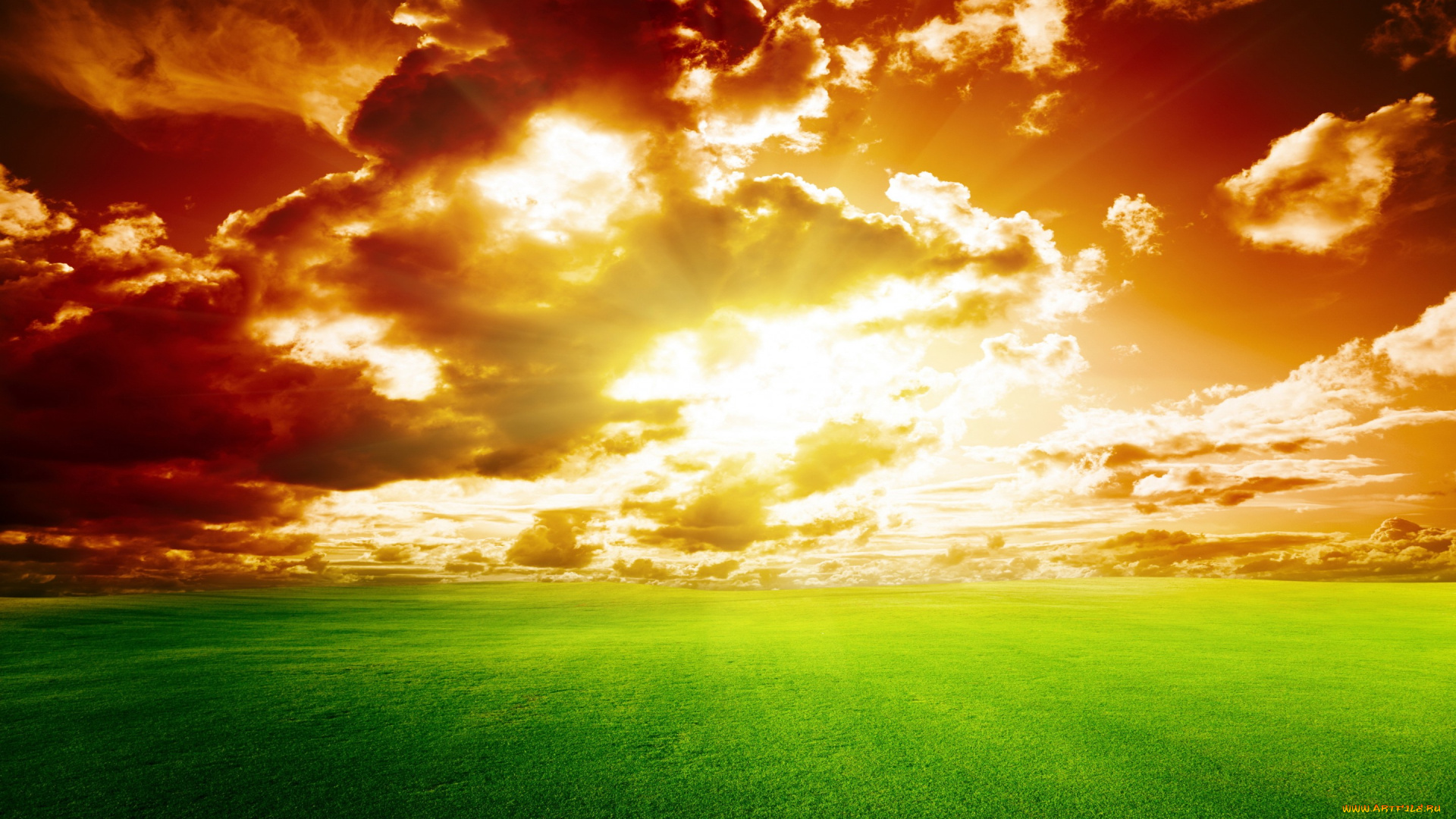 природа, восходы, закаты, трава, поле, небо, закат, sky, landscape, nature, sunset