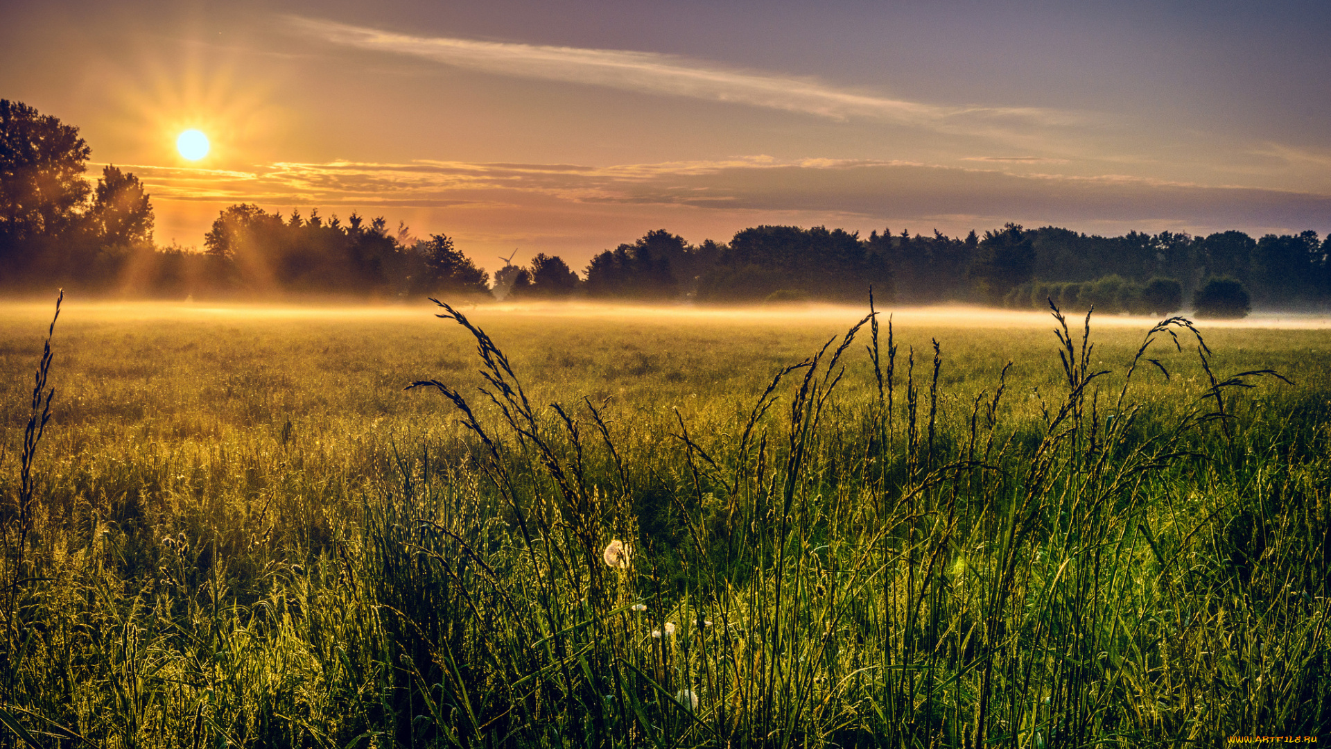 природа, восходы, закаты, утро, поле, туман
