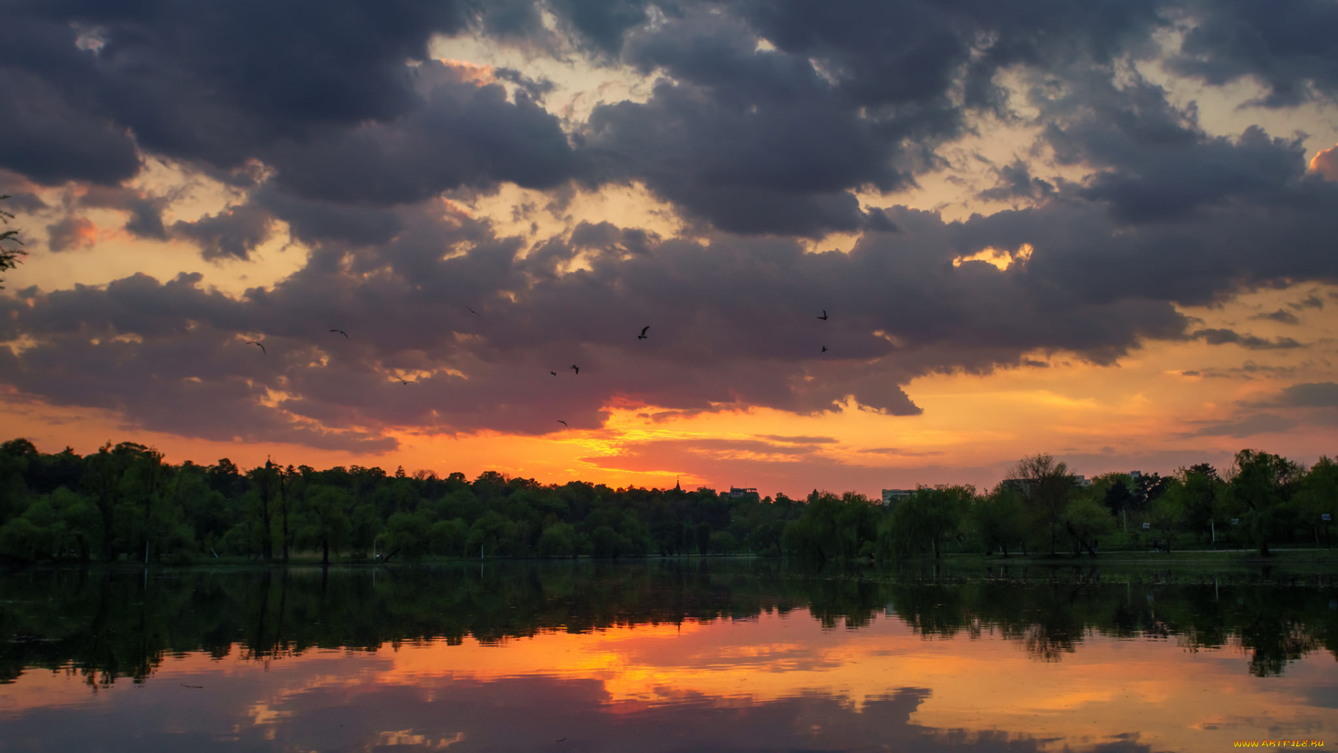 природа, восходы, закаты, закат, небо, облака, озеро