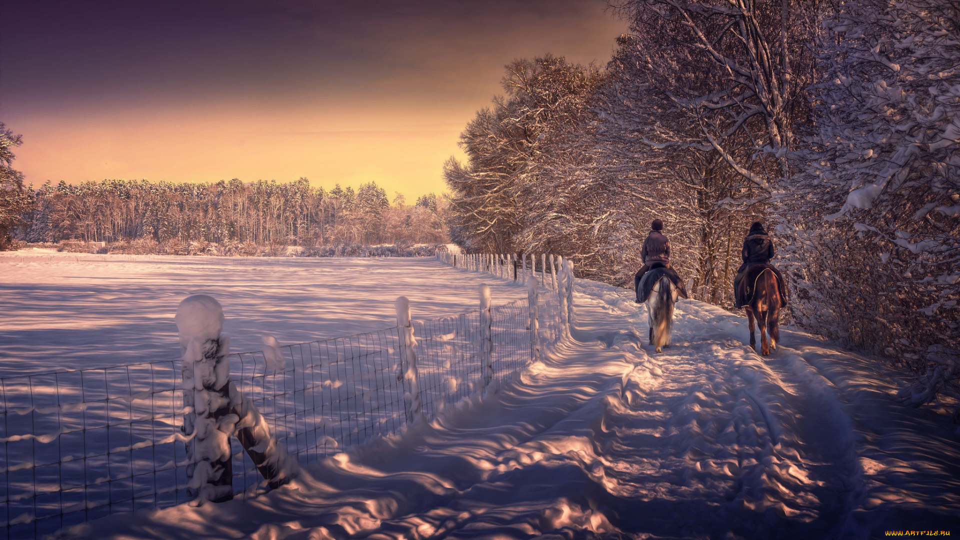 природа, зима, снег, деревья, дорога, парк, лошади, всадники