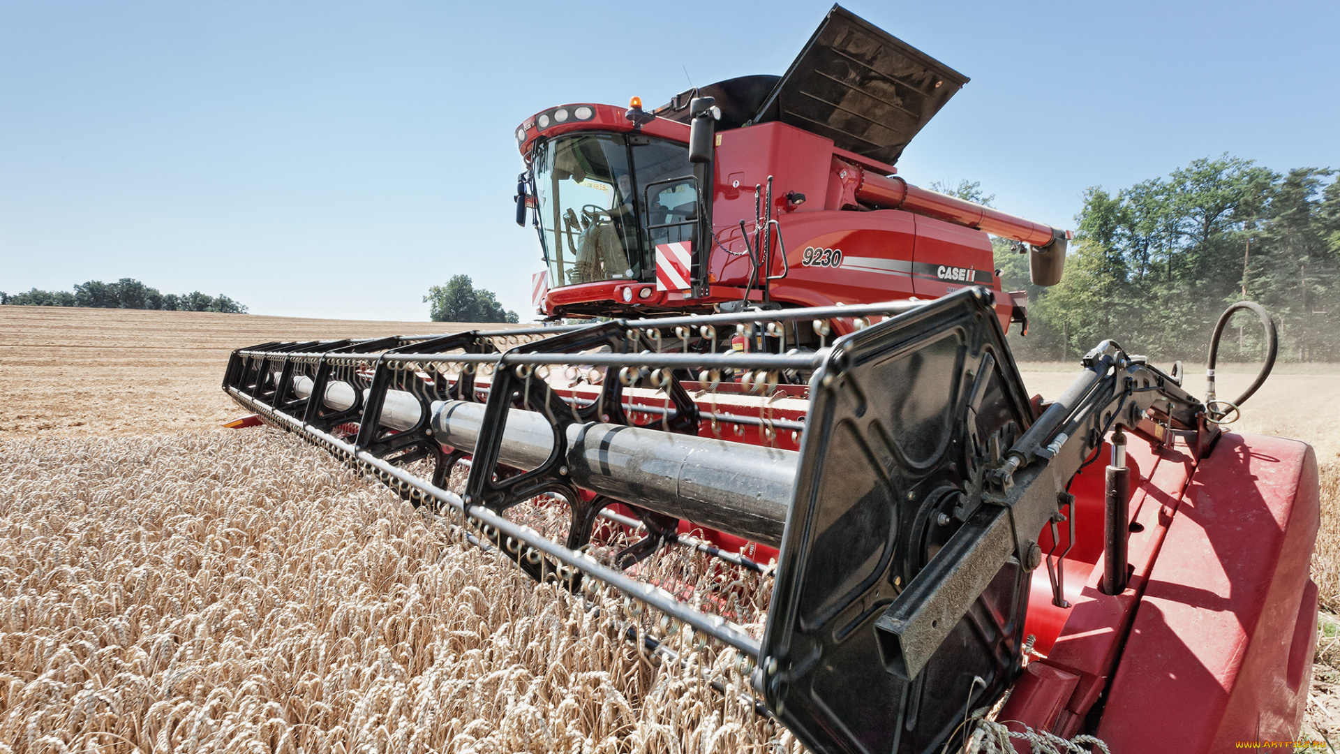 техника, комбайны, комбайн, поле, жатва