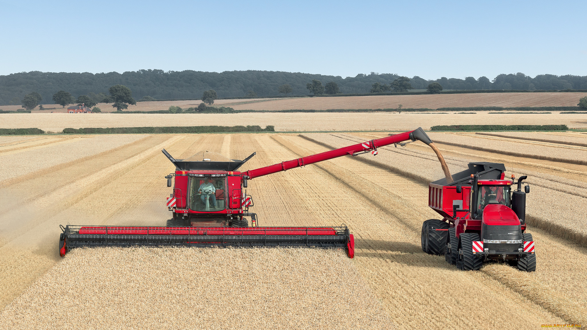 техника, комбайны, поле, комбайн, жатва